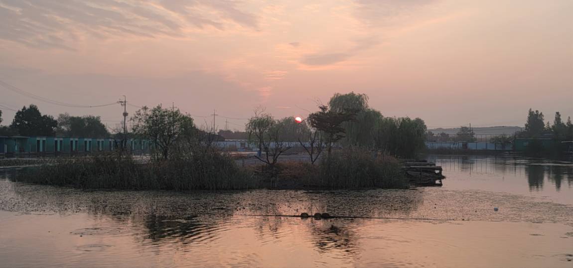 20240909_062341.jpg