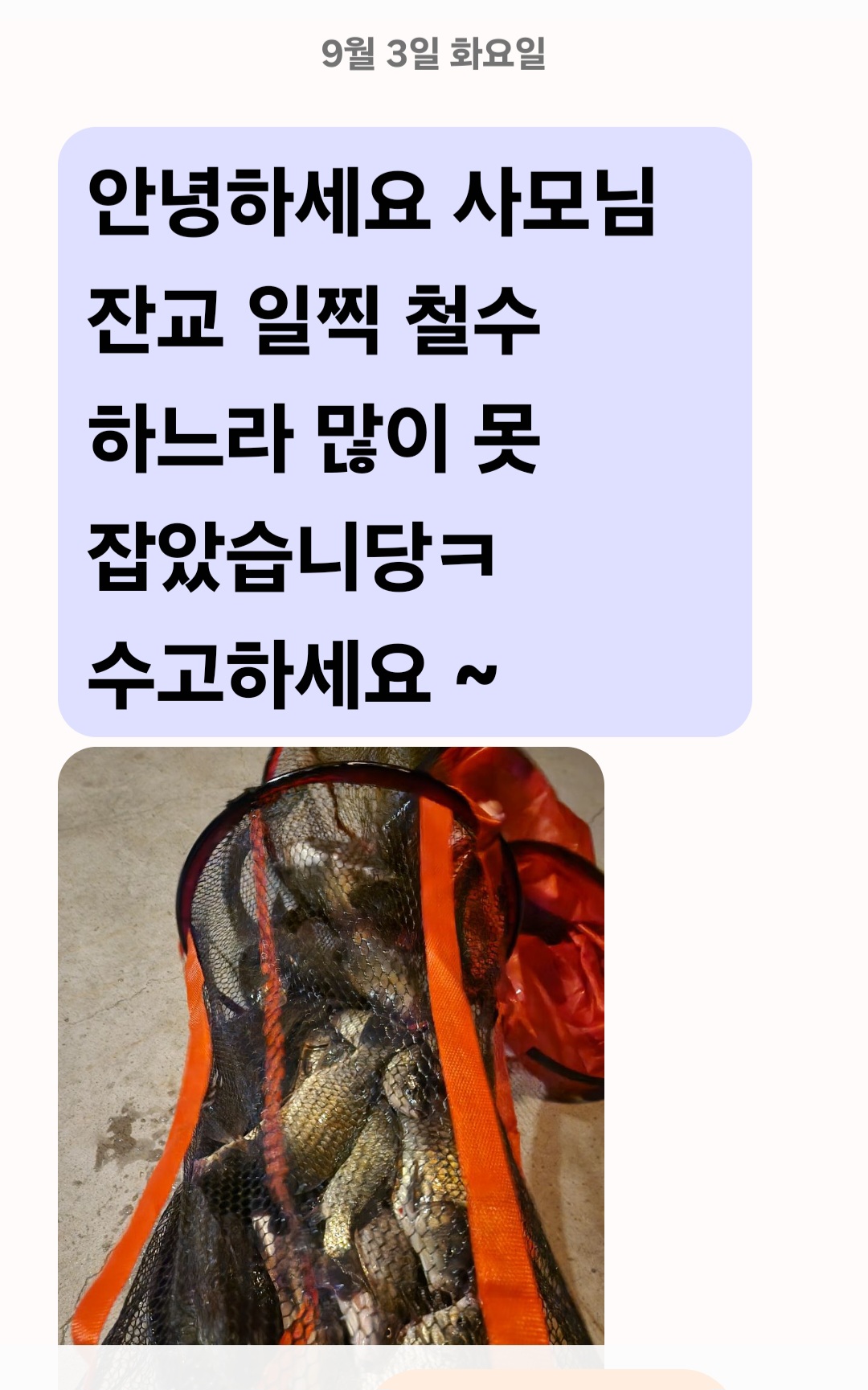 Screenshot_20240903_095539_Messages.jpg