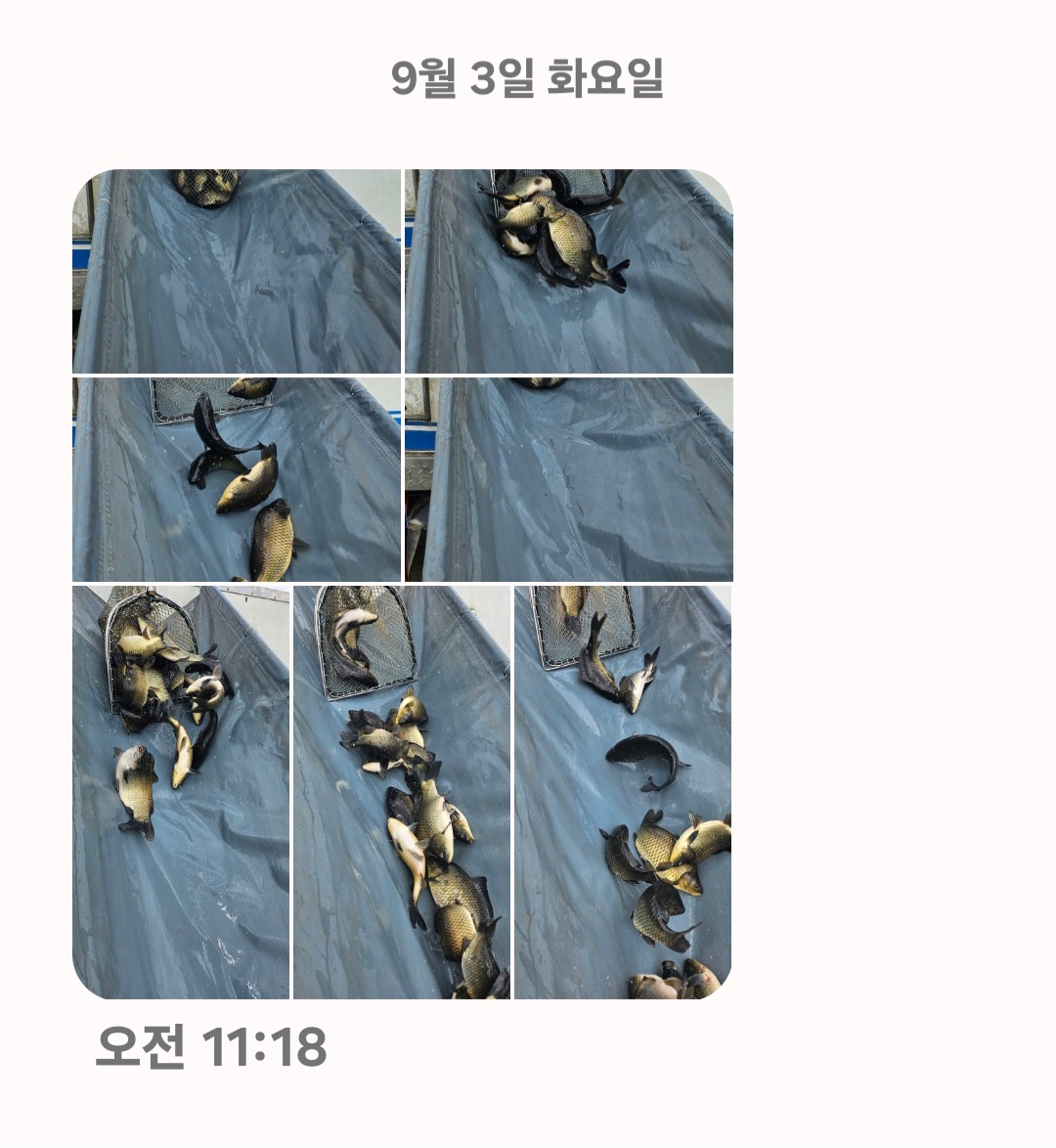 Screenshot_20240903_124701_Messages.jpg