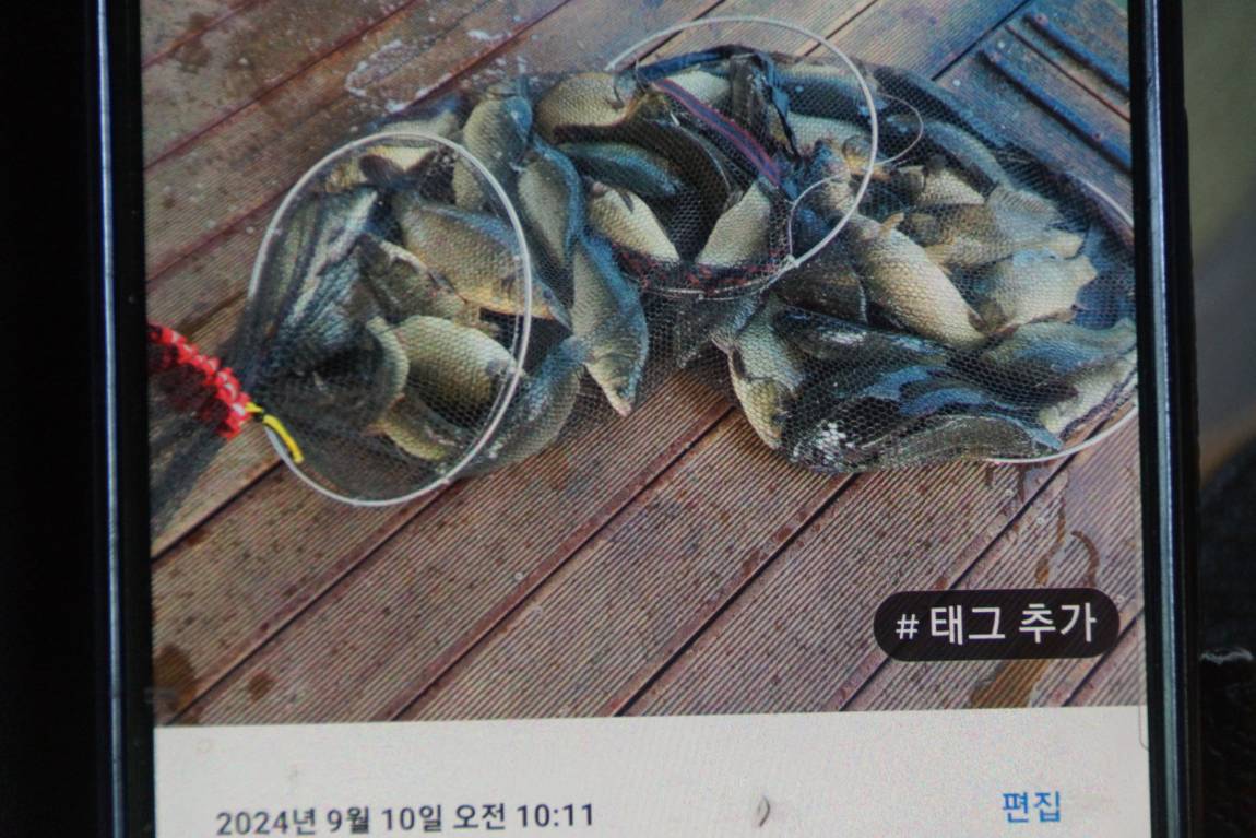 DSC07970.JPG