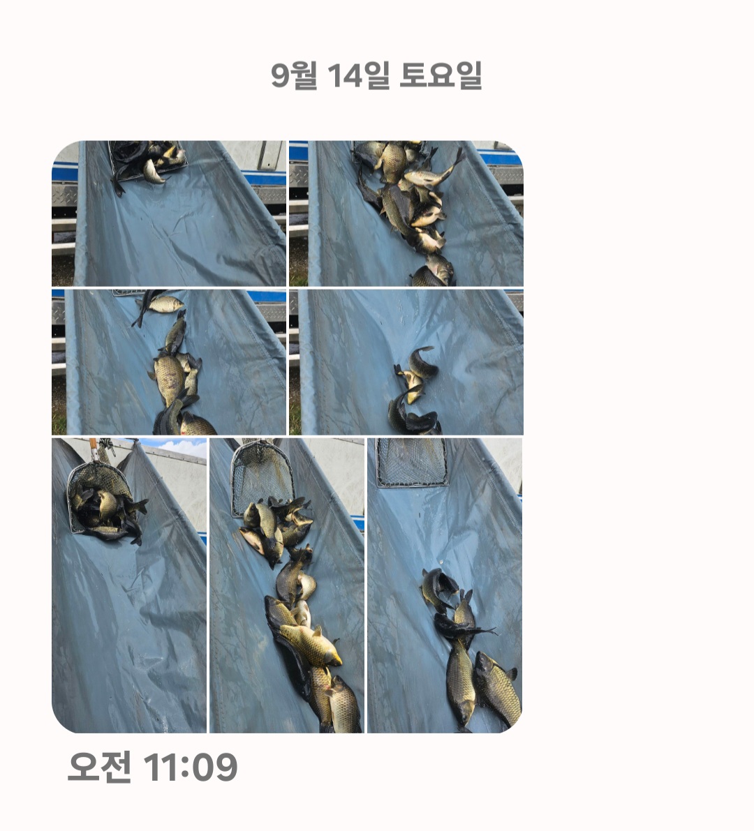 Screenshot_20240914_144332_Messages.jpg