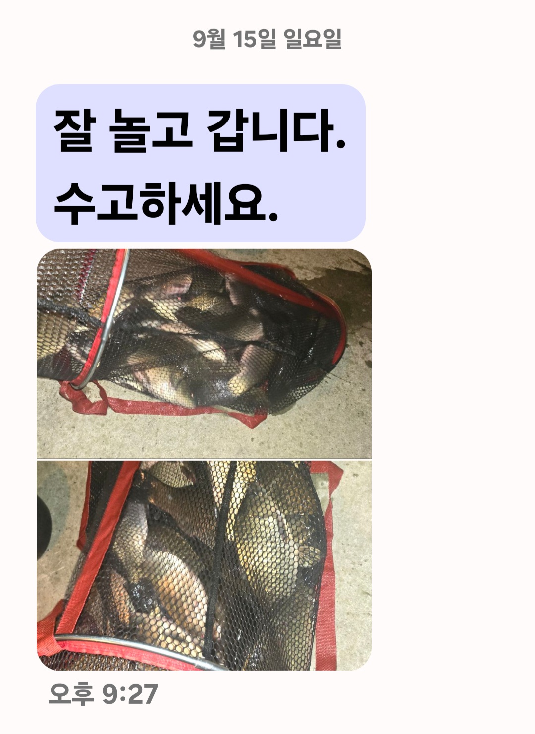 Screenshot_20240916_055455_Messages.jpg