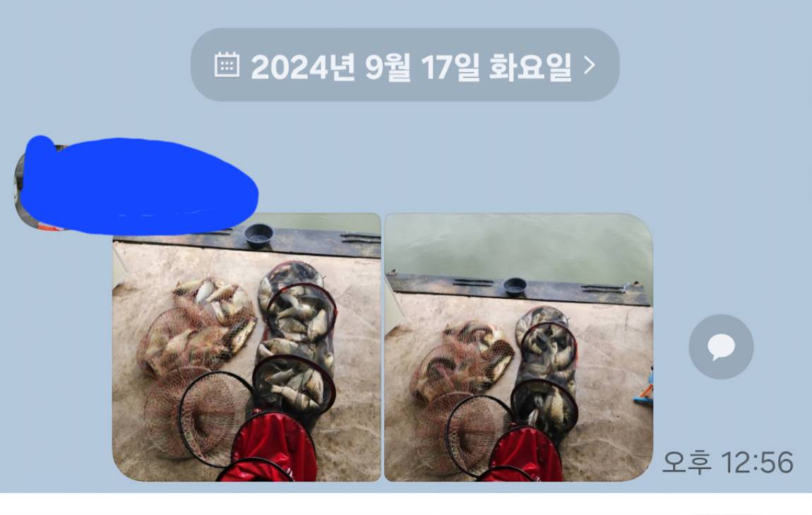 Screenshot_20240917_134513_KakaoTalk.jpg