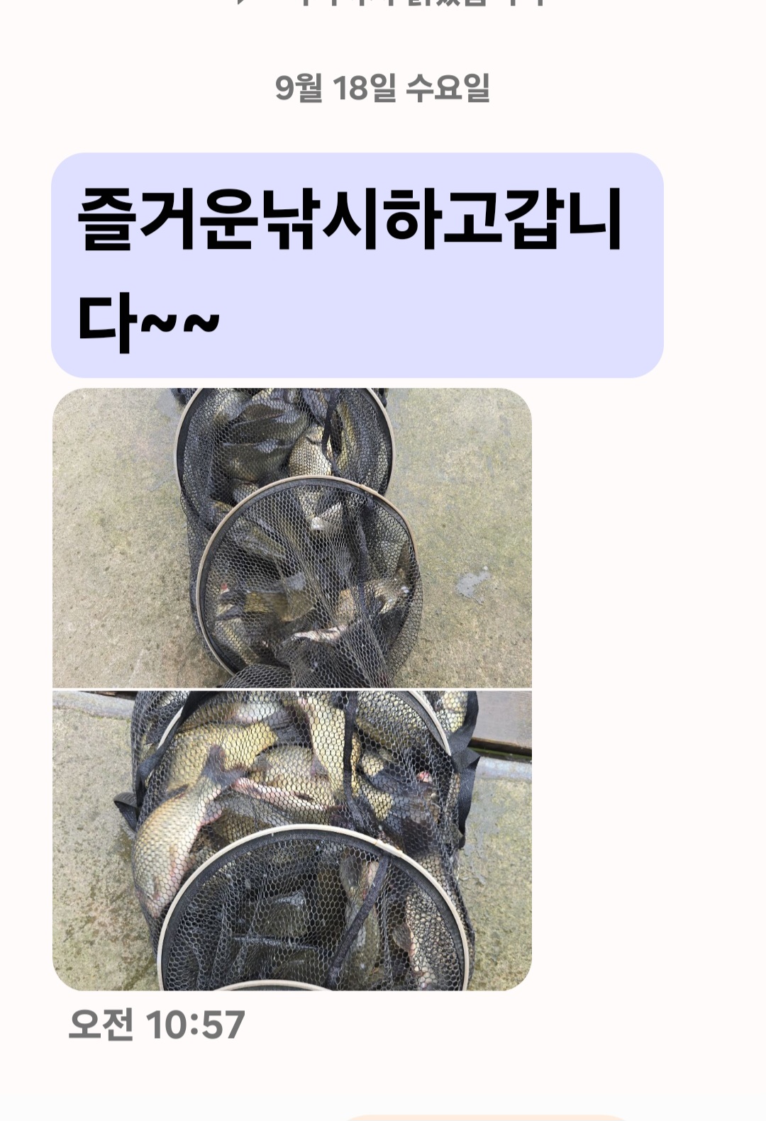 Screenshot_20240918_124435_Messages.jpg