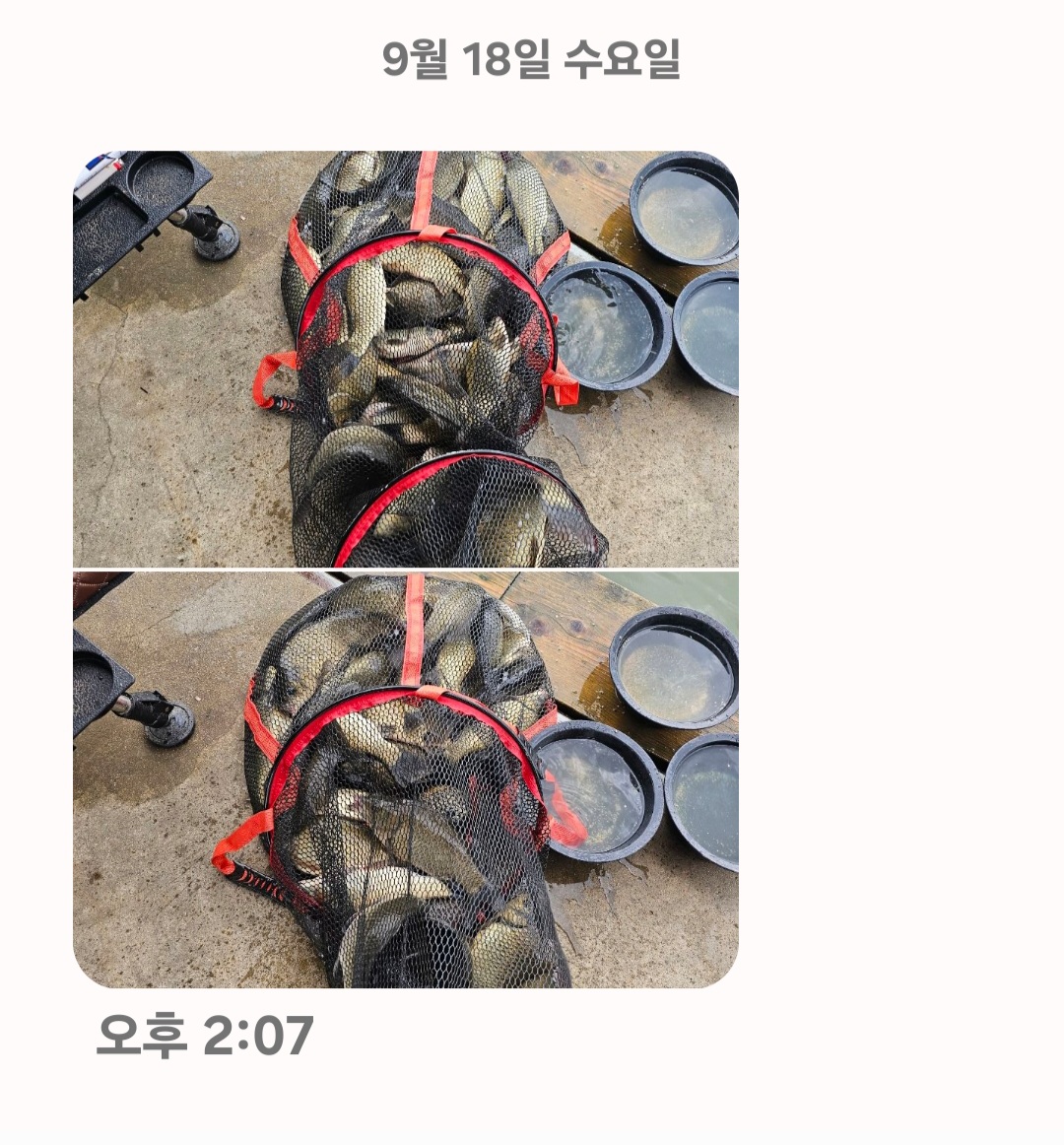Screenshot_20240918_150352_Messages.jpg