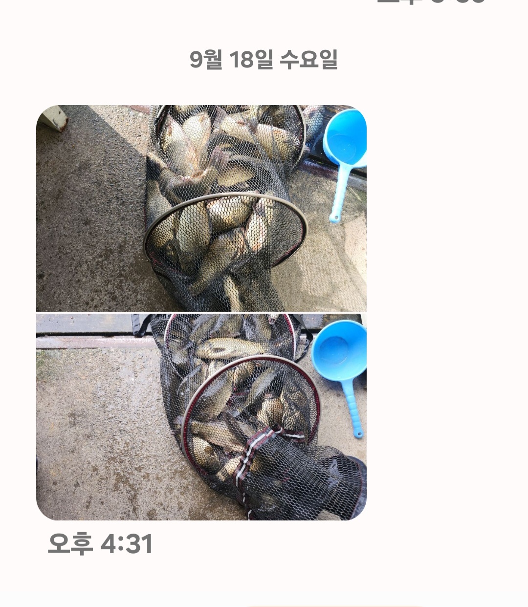 Screenshot_20240918_183259_Messages.jpg