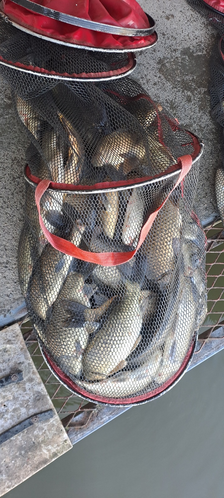 KakaoTalk_20240923_093625161_06.jpg