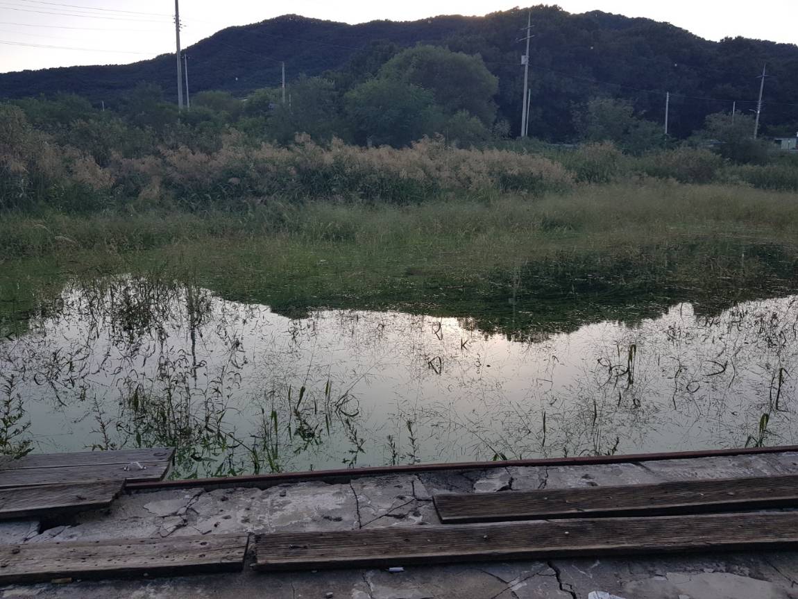 KakaoTalk_20240923_205521375_06.jpg