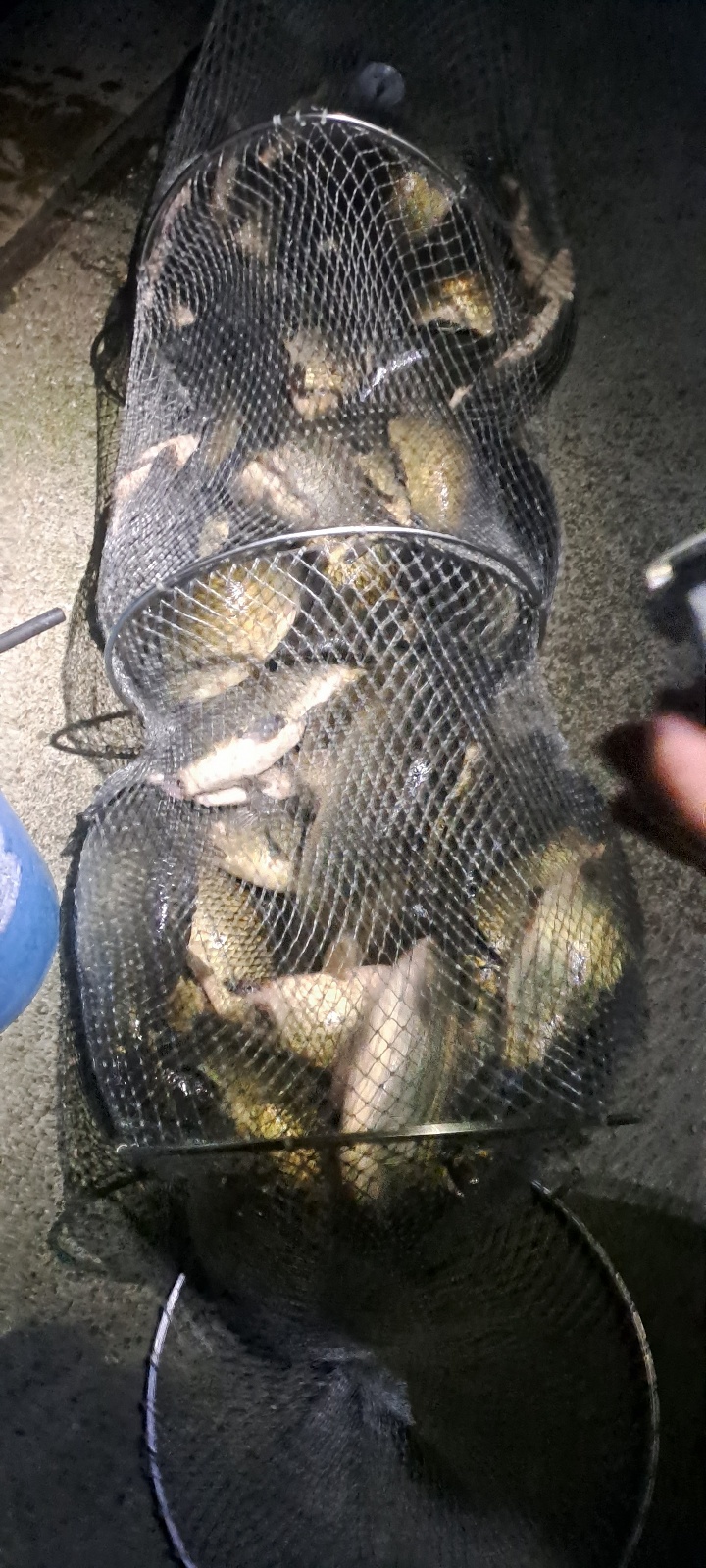 KakaoTalk_20240925_101900188_13.jpg