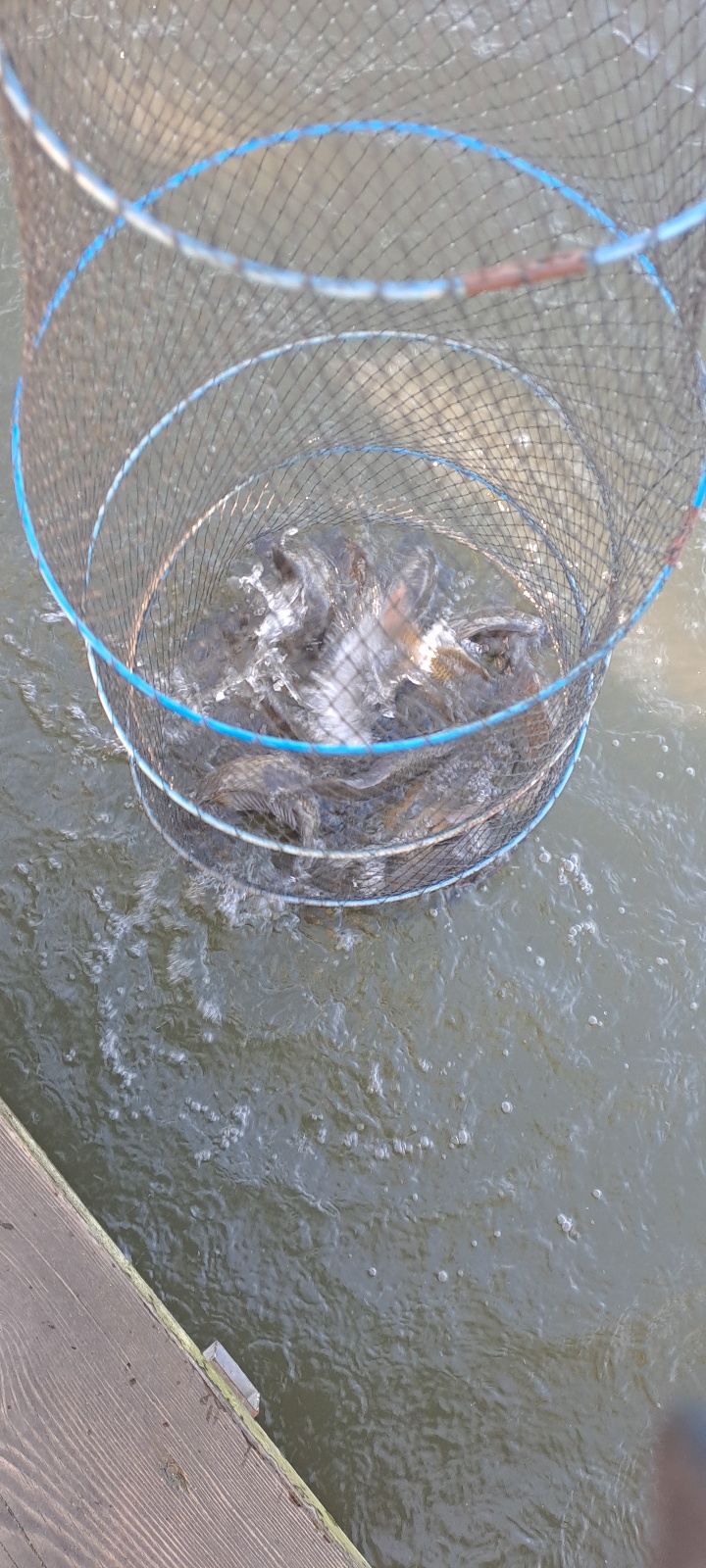 KakaoTalk_20240925_101957768_07.jpg