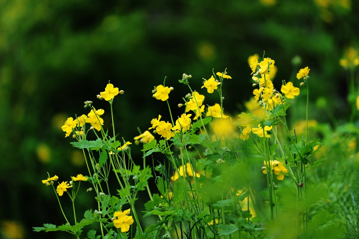 20190514133604_mndu[1].jpg