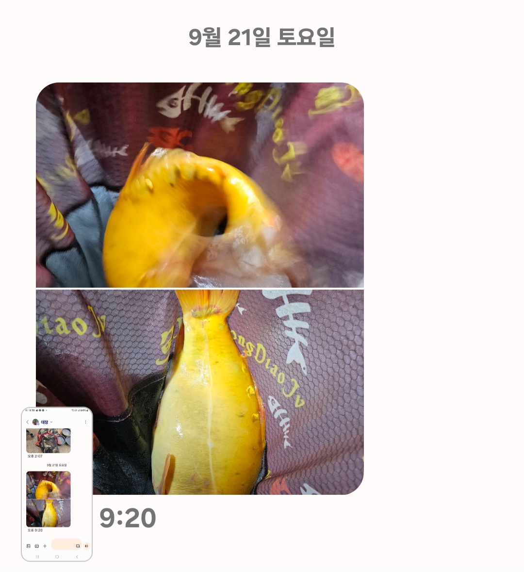 Screenshot_20240922_061917_Messages.jpg