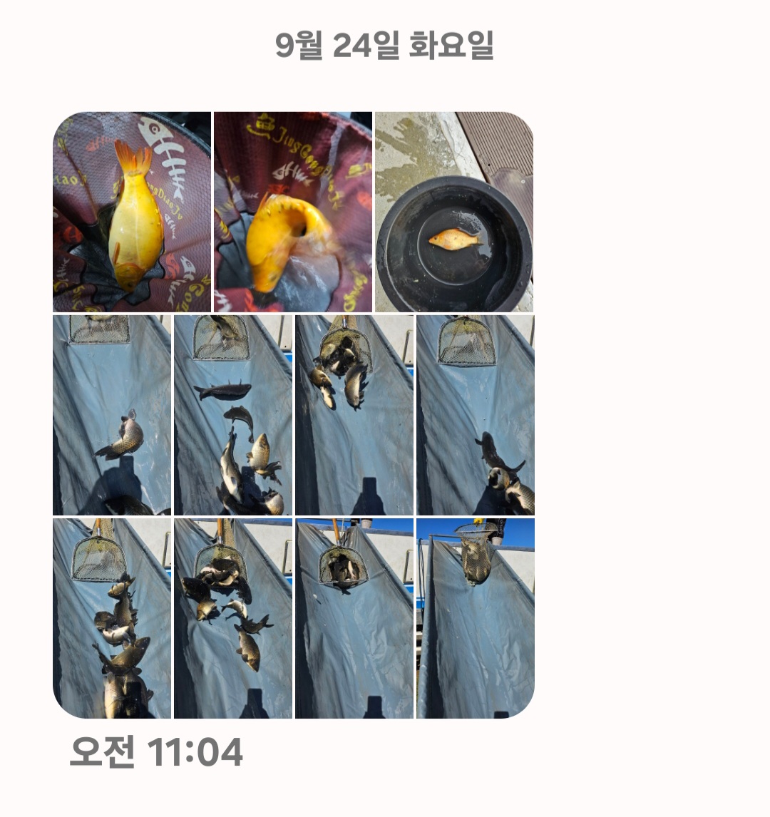 Screenshot_20240924_120807_Messages.jpg