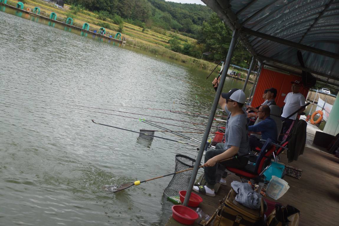 DSC08365.JPG