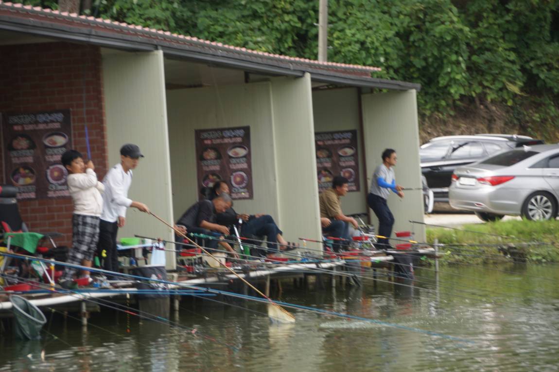 DSC08367.JPG