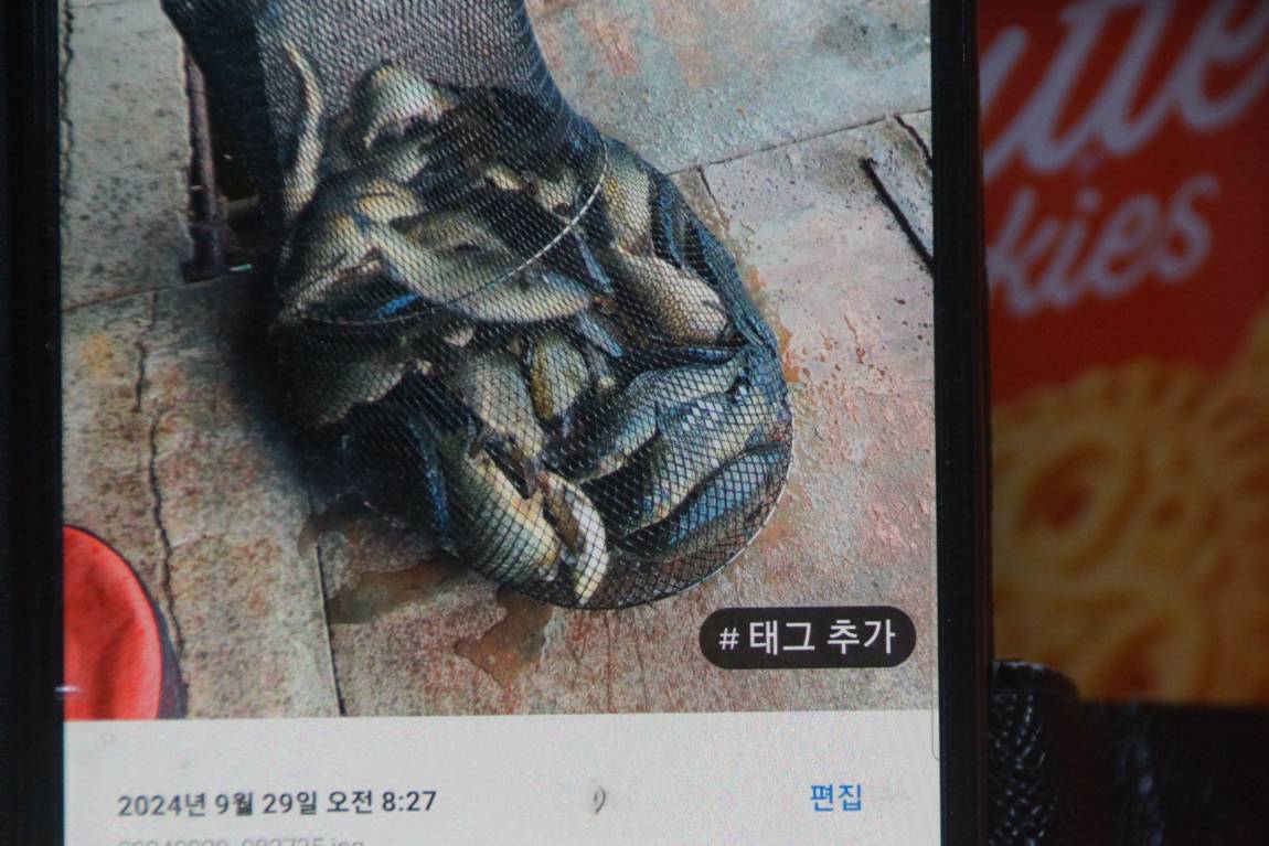 DSC08388.JPG