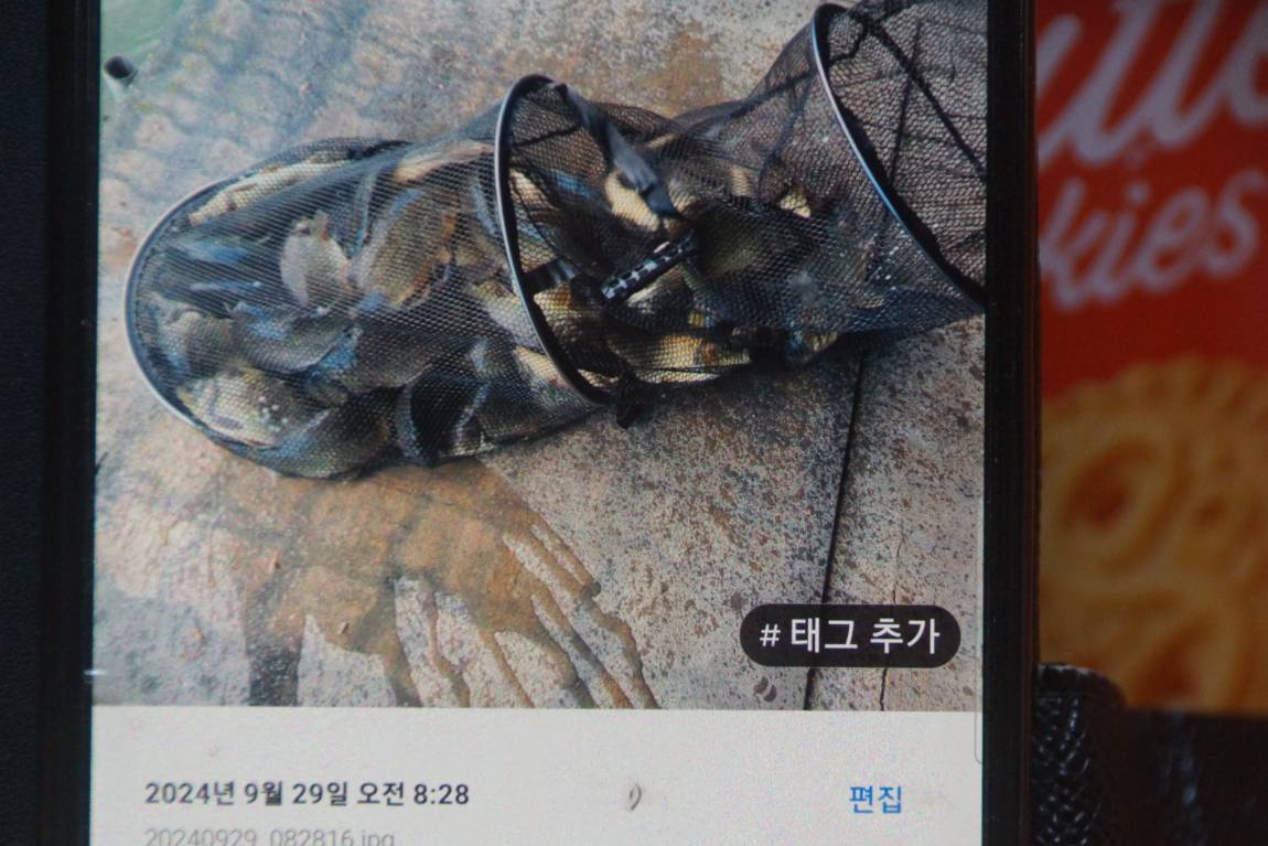 DSC08390.JPG