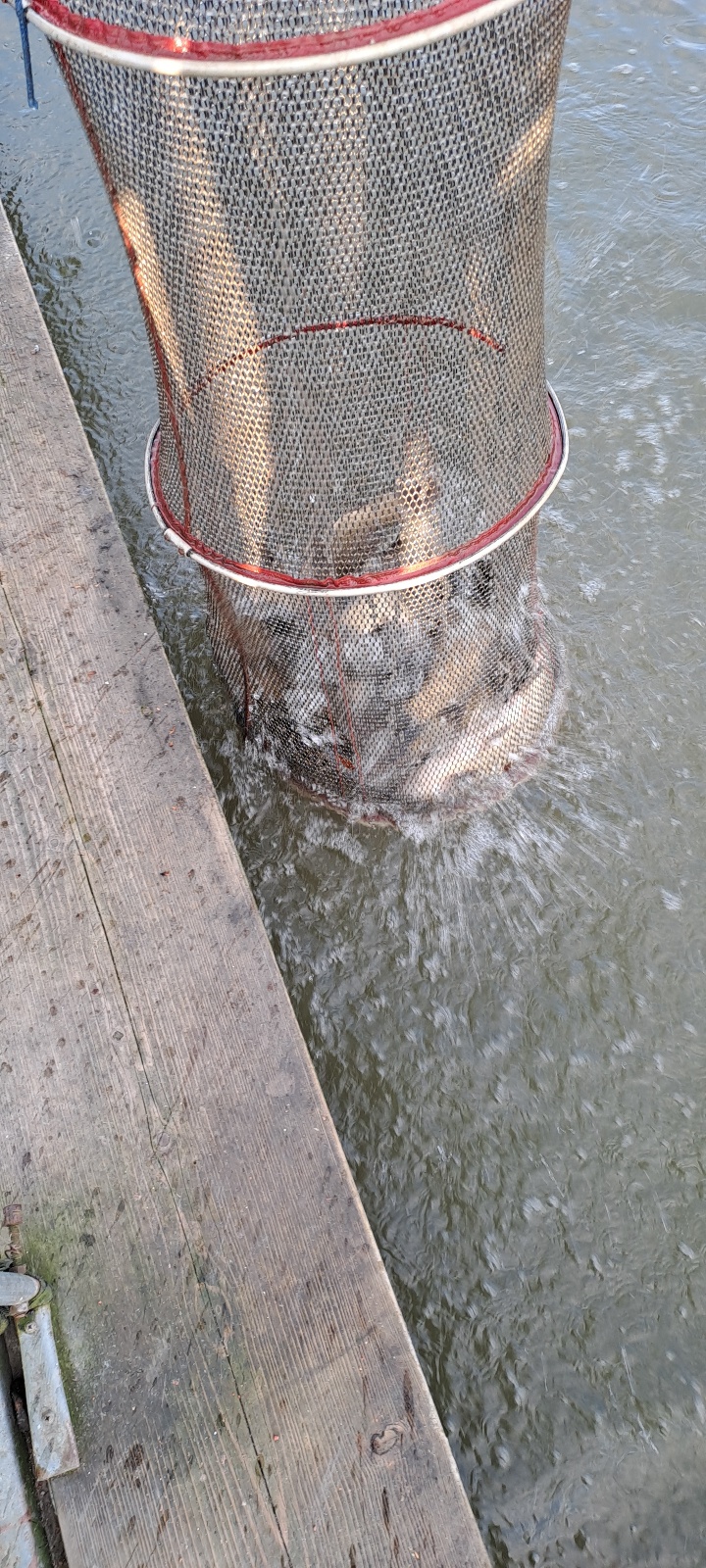 KakaoTalk_20240930_092506686_26.jpg