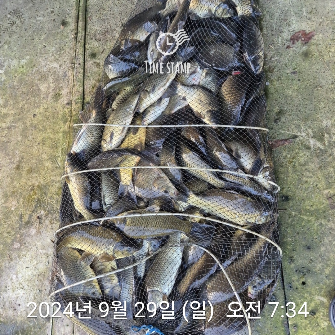 1727574815484.jpg