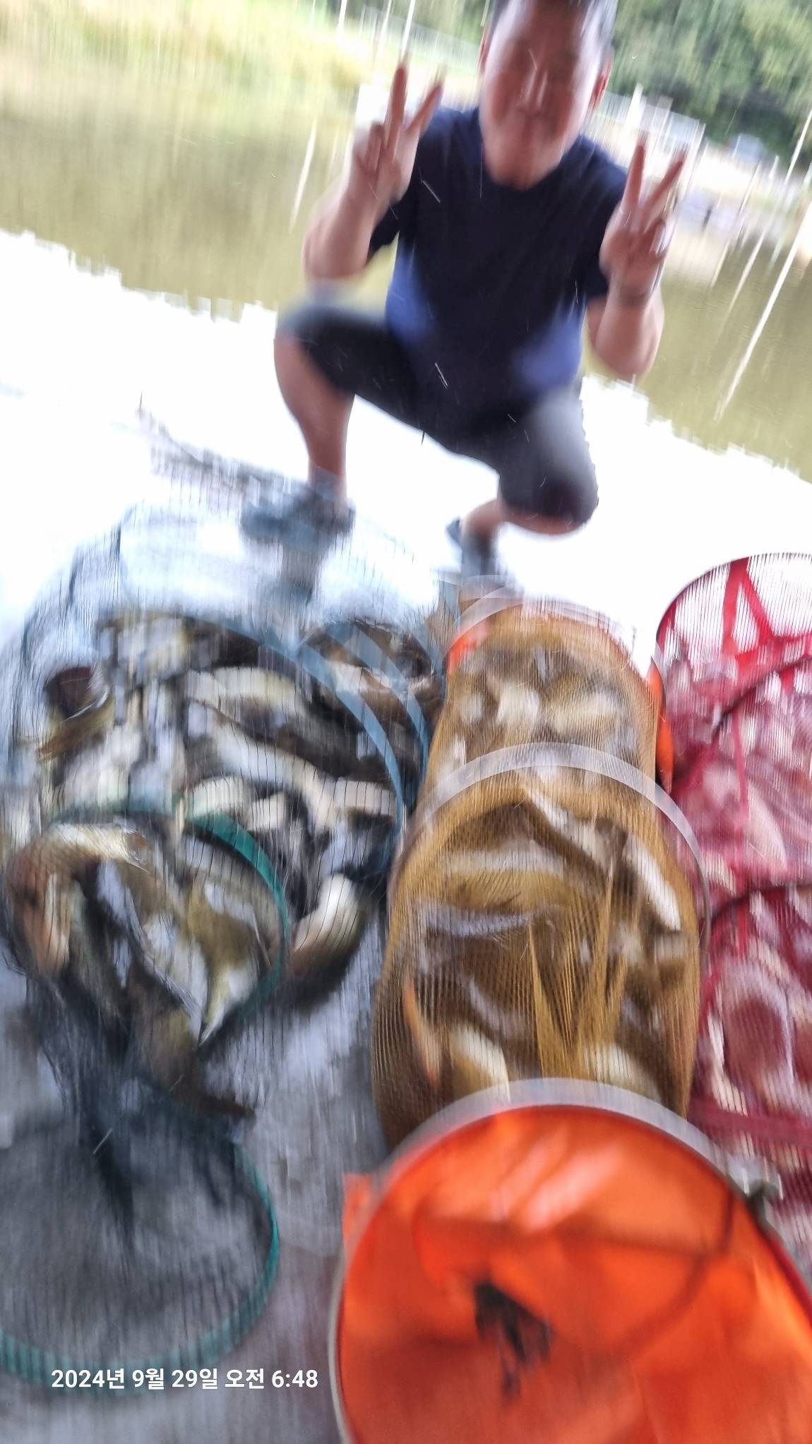20240929_064859.jpg