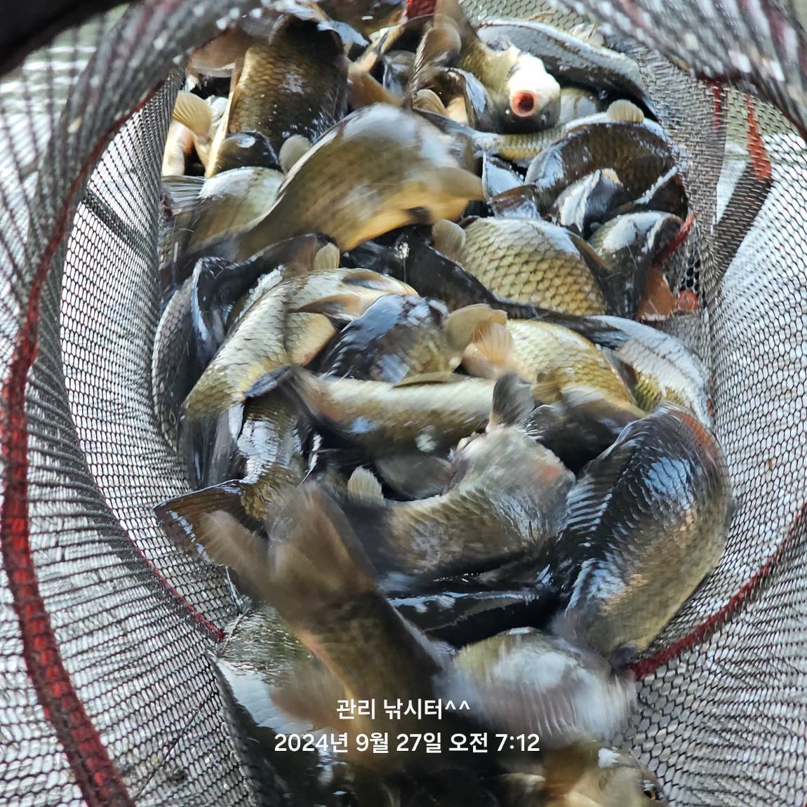 KakaoTalk_20240927_213058148_16.jpg