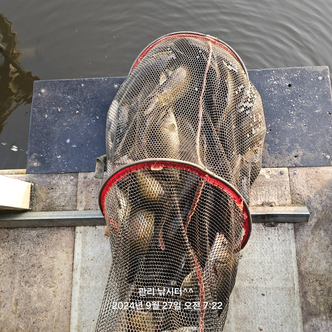 KakaoTalk_20240927_213058148_12.jpg