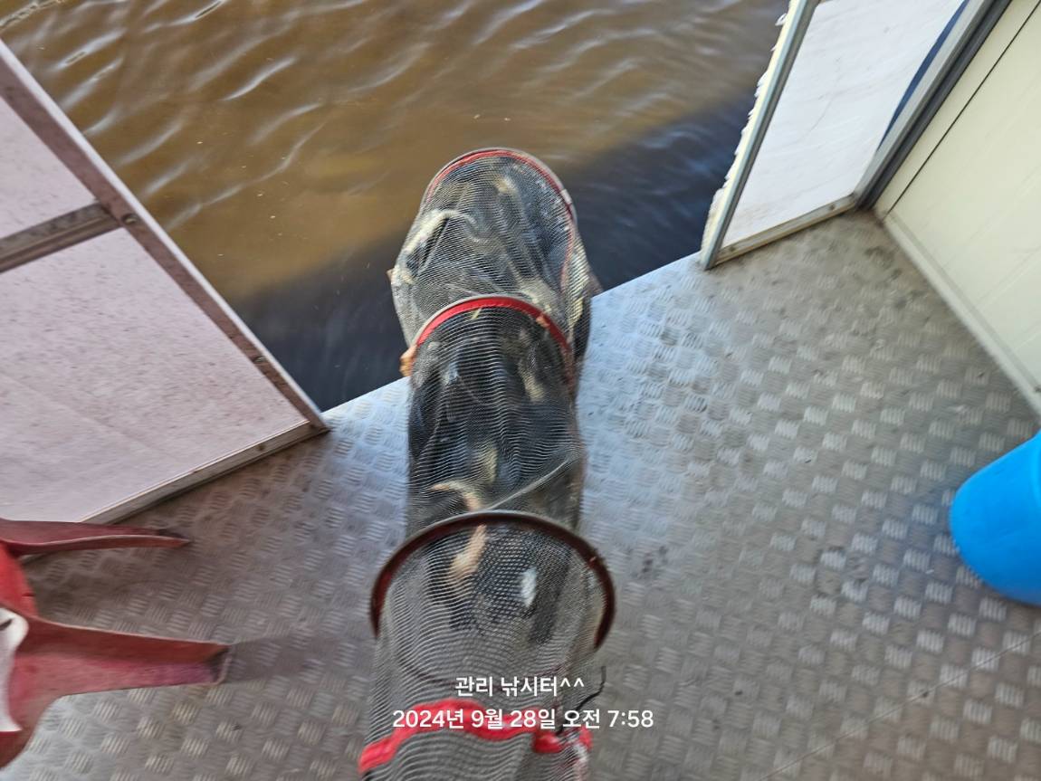 KakaoTalk_20240928_210218952_13.jpg