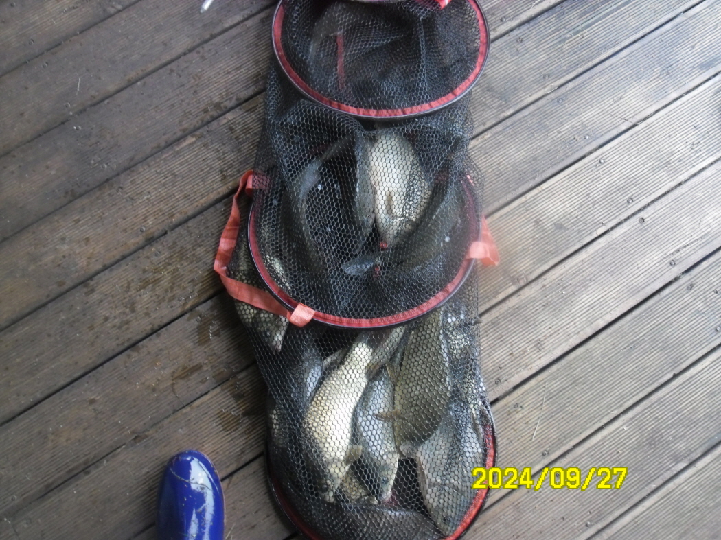 SAM_9038.JPG