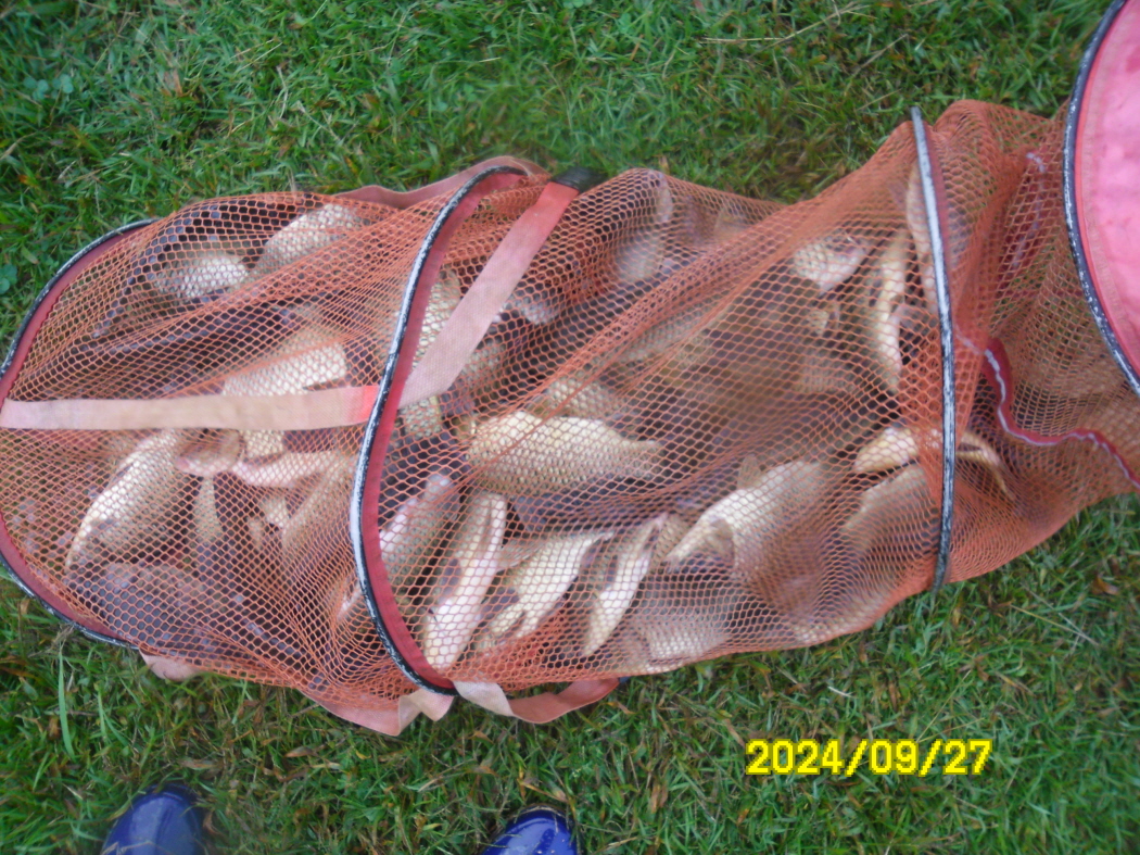 SAM_9043.JPG