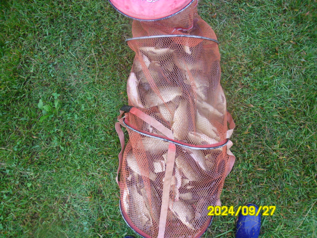 SAM_9044.JPG