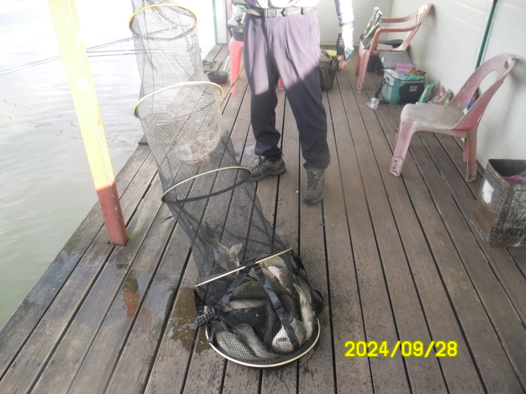 SAM_9070.JPG