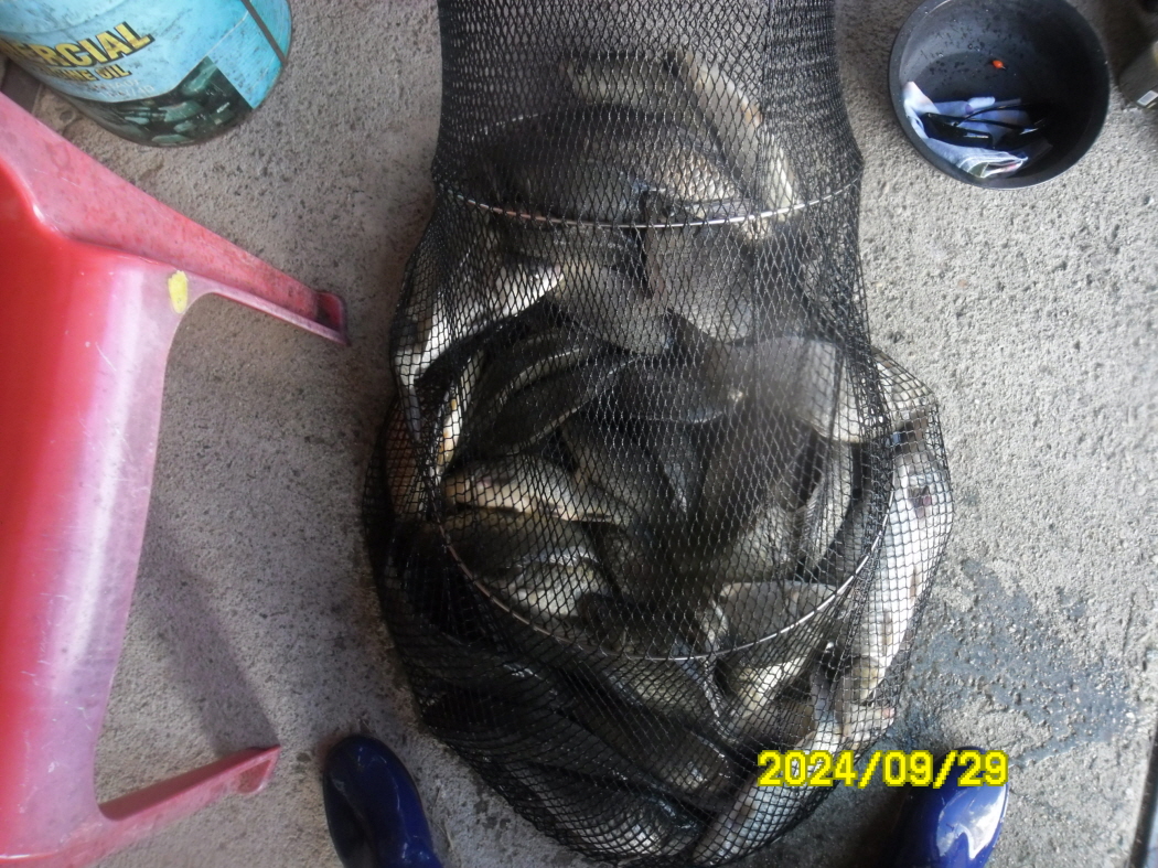 SAM_9090.JPG
