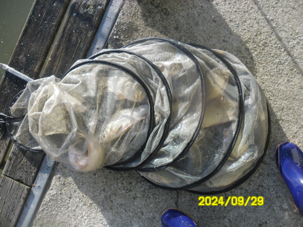 SAM_9105.JPG