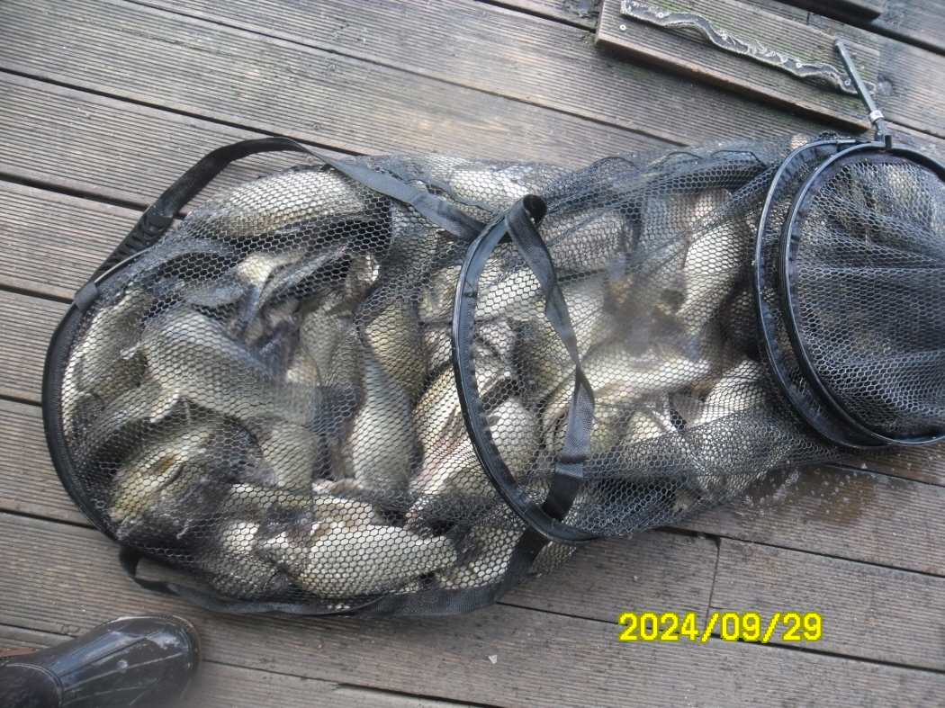 SAM_9130.JPG
