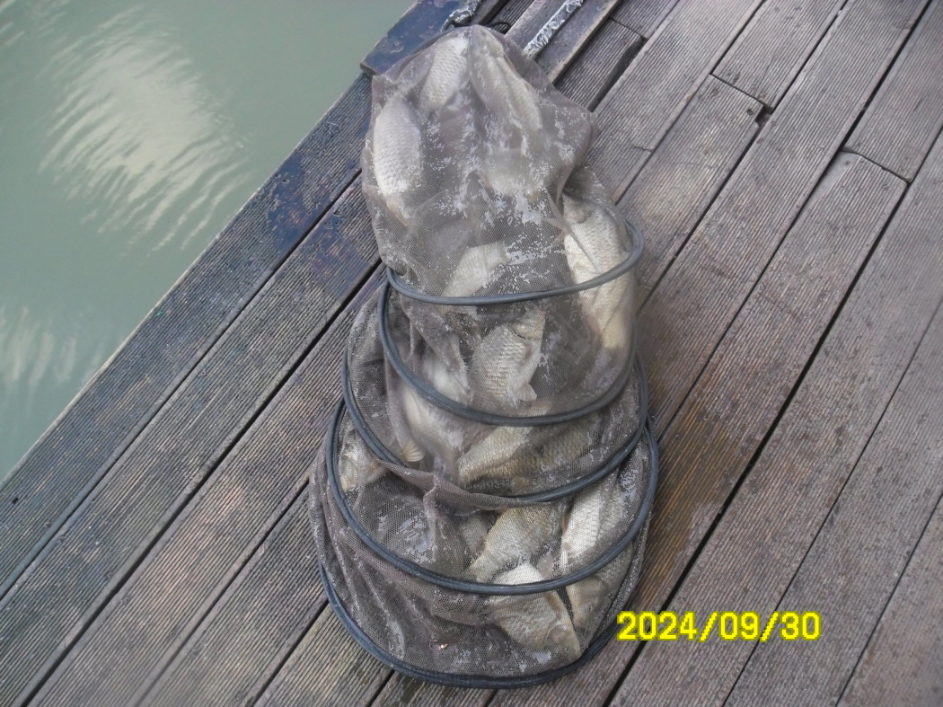 SAM_9140.JPG