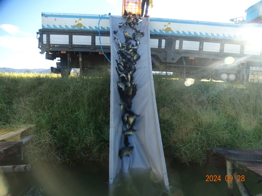 DSC07346.JPG