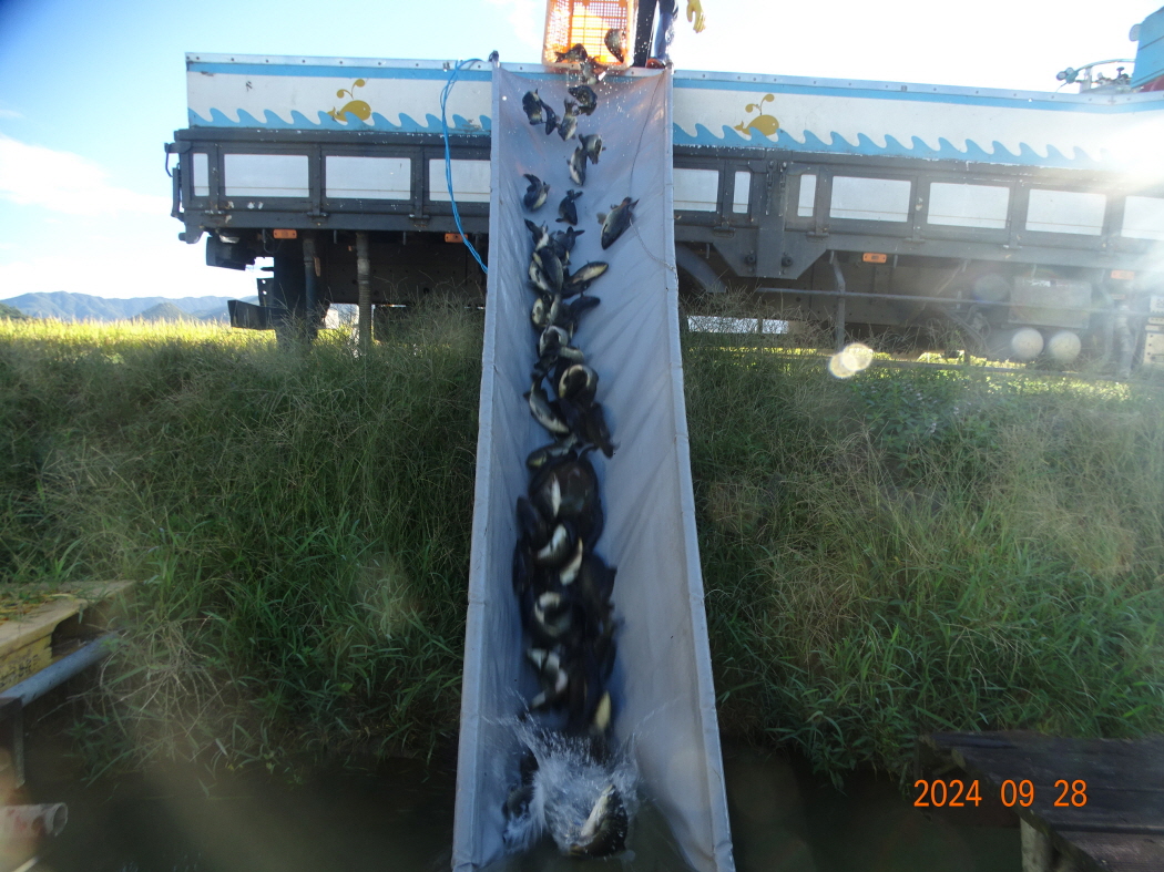 DSC07355.JPG