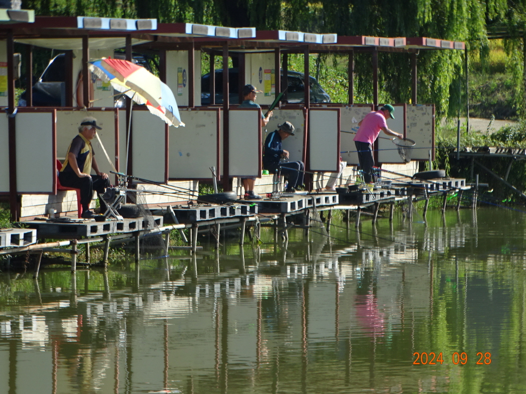 DSC07377.JPG
