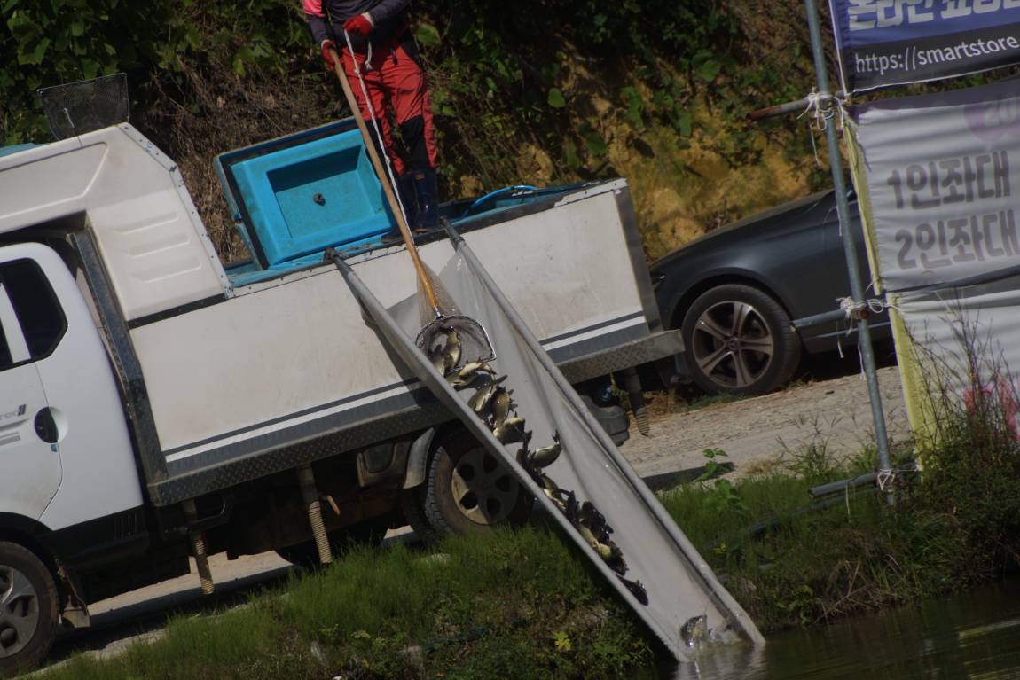 DSC08426.JPG