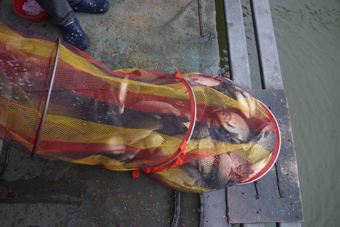 DSC08449.JPG
