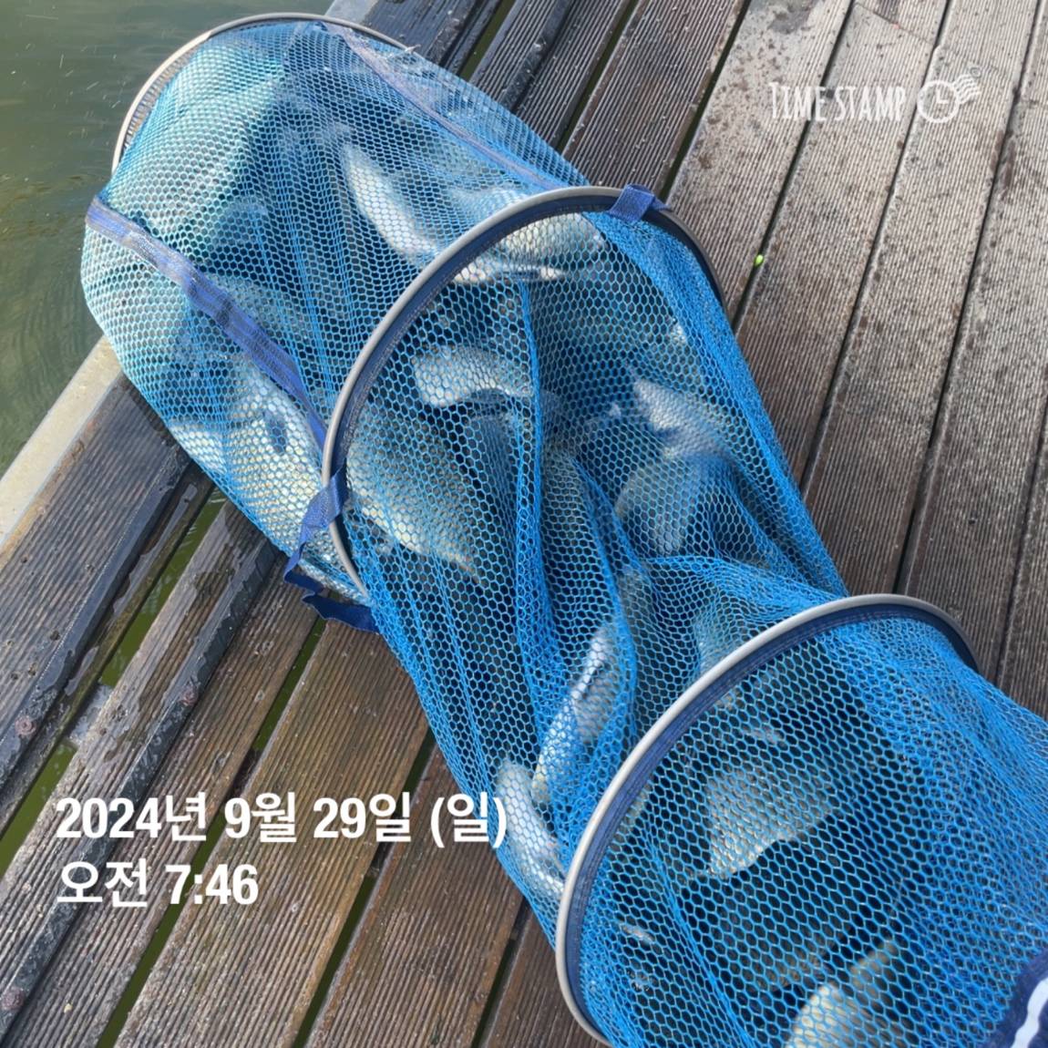 KakaoTalk_20241001_134439047_15.jpg