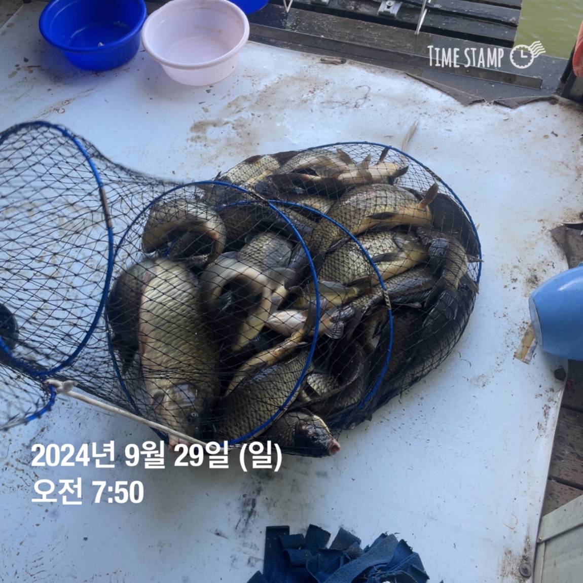 KakaoTalk_20241001_134439047_18.jpg