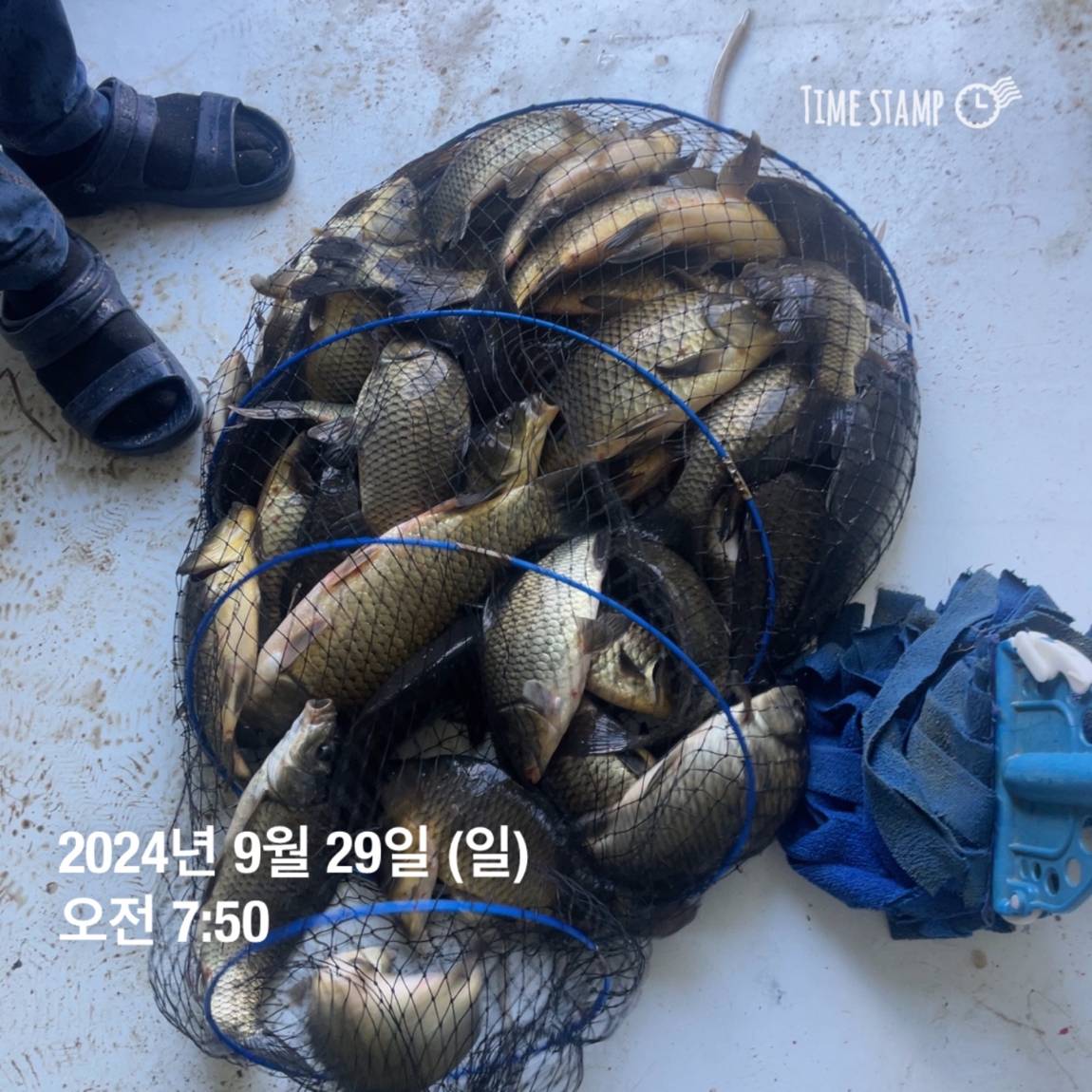 KakaoTalk_20241001_134439047_19.jpg