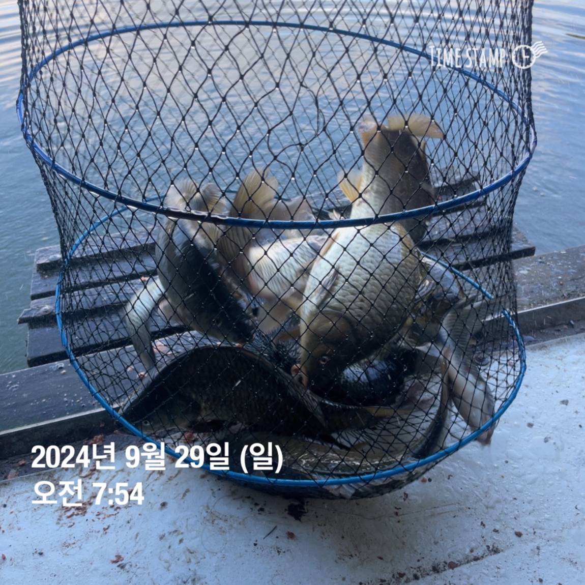 KakaoTalk_20241001_134439047_22.jpg