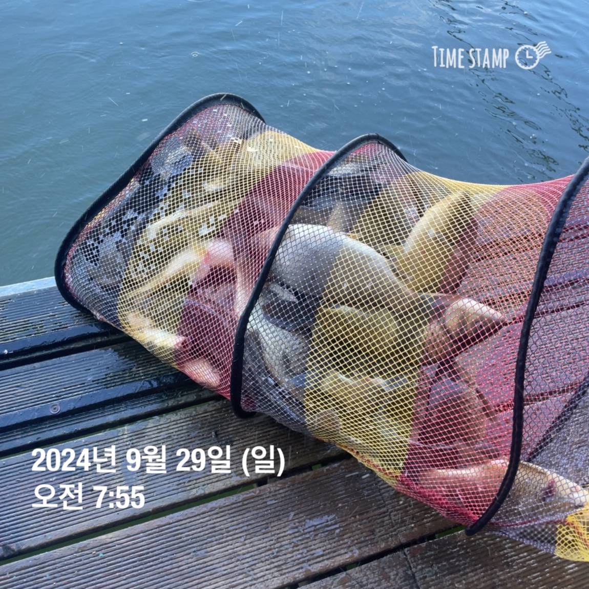 KakaoTalk_20241001_134439047_25.jpg