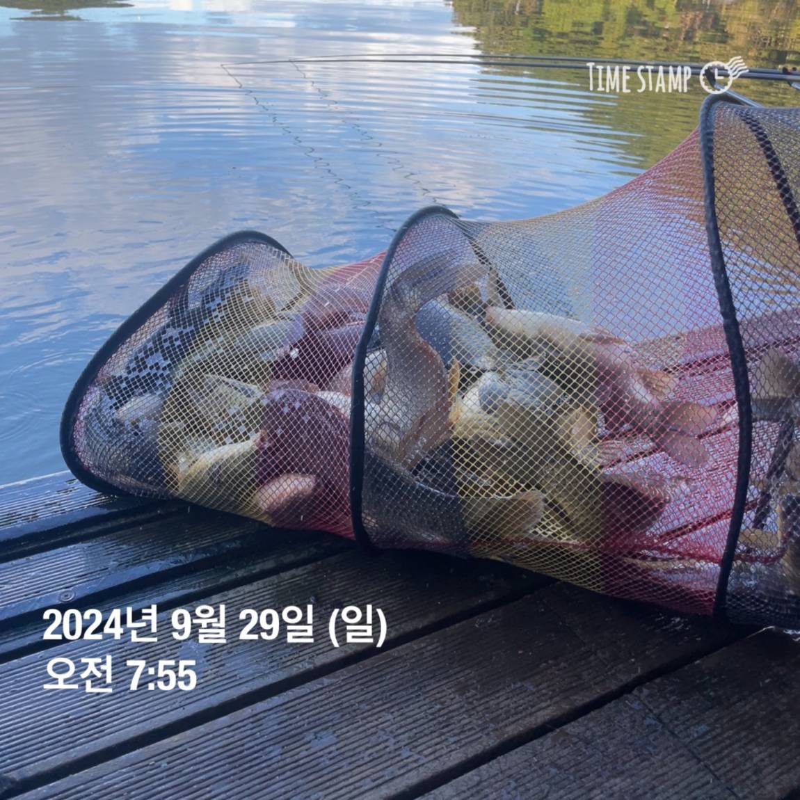 KakaoTalk_20241001_134439047_26.jpg
