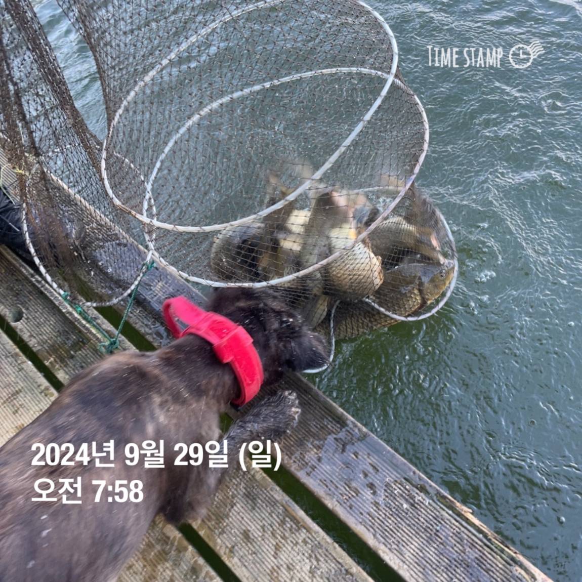 KakaoTalk_20241001_134517701.jpg