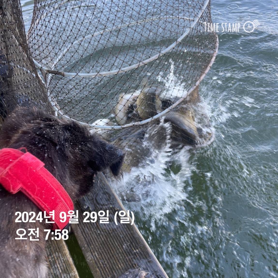 KakaoTalk_20241001_134517701_01.jpg