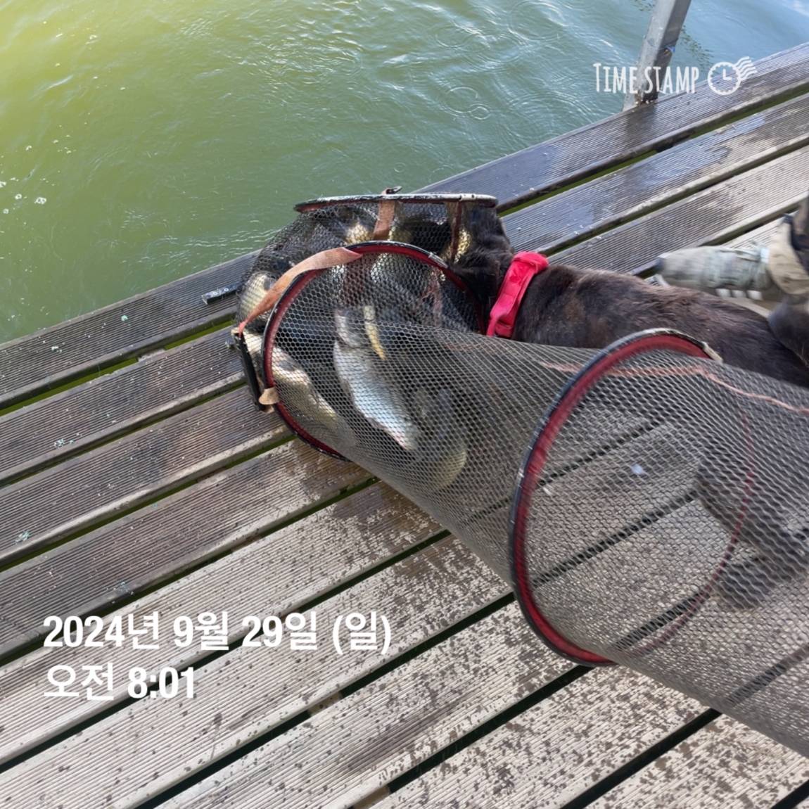 KakaoTalk_20241001_134517701_05.jpg