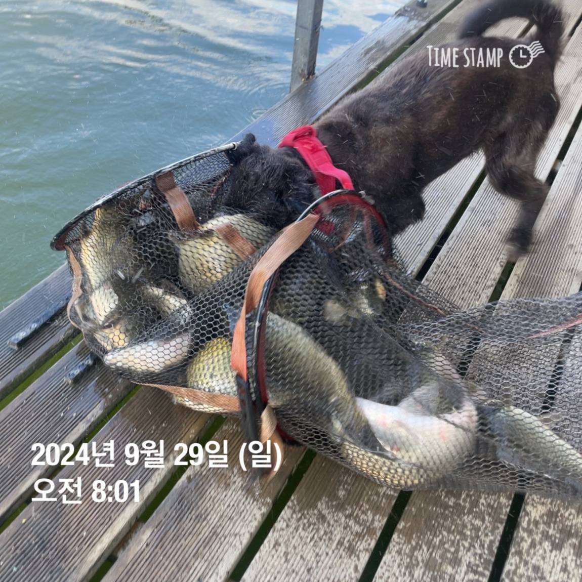KakaoTalk_20241001_134517701_06.jpg